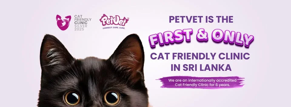 Petwet